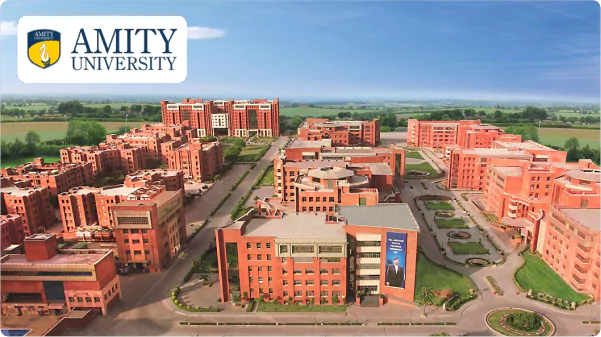 Amity Online