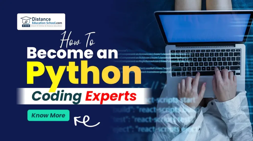 python coding experts